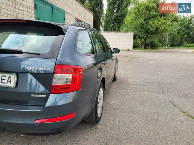 Шкода Октавия 2014 в Белой Церкве на Automoto.ua Зеленый Шкода Октавия, объемом двигателя 1.6 л и пробегом 321 тыс. км за 9850 $, фото 7 на Automoto.ua
