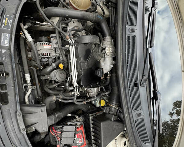 Шкода Румстер 2007 у Дрогобичі на Automoto.ua Білий Шкода Румстер, об'ємом двигуна 1.4 л та пробігом 244 тис. км за 4650 $, фото 72 на Automoto.ua