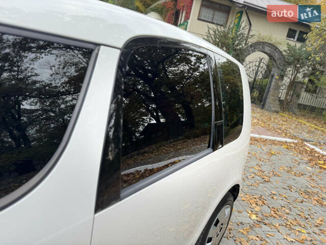 Шкода Румстер 2007 у Дрогобичі на Automoto.ua Білий Шкода Румстер, об'ємом двигуна 1.4 л та пробігом 244 тис. км за 4650 $, фото 33 на Automoto.ua