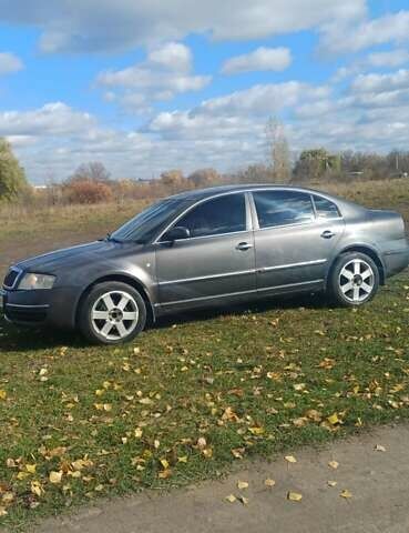Шкода Суперб 2005 в Бердичеве на Automoto.ua Серый Шкода Суперб, объемом двигателя 1.8 л и пробегом 252 тыс. км за 3550 $, фото 1 на Automoto.ua