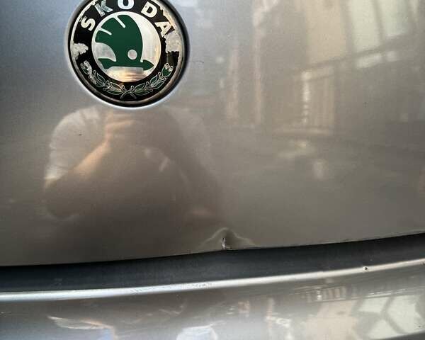 Сірий Шкода Суперб, об'ємом двигуна 1.9 л та пробігом 283 тис. км за 7500 $, фото 10 на Automoto.ua