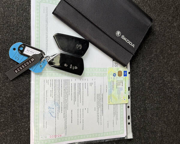 Шкода Enyaq iV, объемом двигателя 0 л и пробегом 179 тыс. км за 21000 $, фото 39 на Automoto.ua