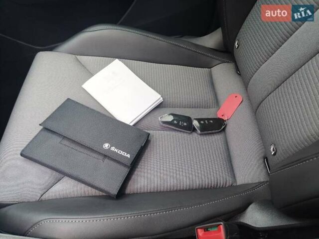 Серый Шкода Enyaq iV, объемом двигателя 0 л и пробегом 256 тыс. км за 20900 $, фото 14 на Automoto.ua