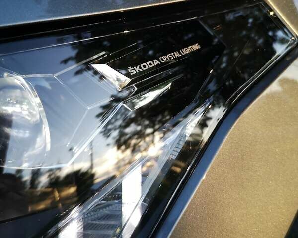 Серый Шкода Enyaq iV, объемом двигателя 0 л и пробегом 41 тыс. км за 33300 $, фото 22 на Automoto.ua