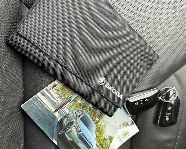 Синий Шкода Enyaq iV, объемом двигателя 0 л и пробегом 149 тыс. км за 21900 $, фото 27 на Automoto.ua