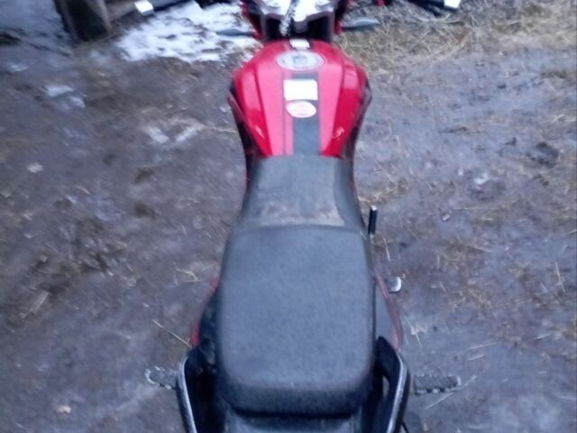 СкайБайк Другая 2018 в Новорад-Волынском на Automoto.ua СкайБайк Другая, объемом двигателя 0.2 л и пробегом 0 тыс. км за 650 $, фото 2 на Automoto.ua