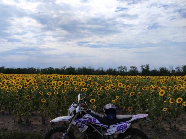 СкайБайк Другая, объемом двигателя 0.2 л и пробегом 0 тыс. км за 1250 $, фото 7 на Automoto.ua