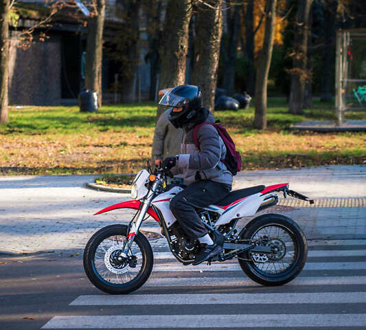 Красный СкайБайк CRDX, объемом двигателя 0.25 л и пробегом 13 тыс. км за 1200 $, фото 8 на Automoto.ua