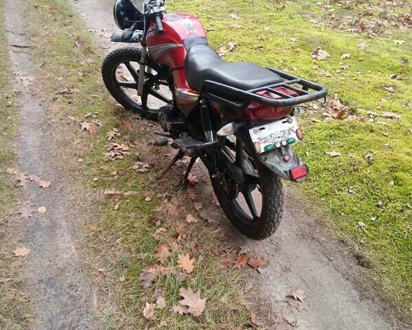 Червоний СкайМото Бьорд, об'ємом двигуна 1.25 л та пробігом 20 тис. км за 250 $, фото 5 на Automoto.ua