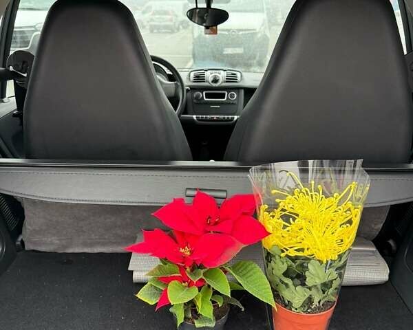 Белый Смарт Форту, объемом двигателя 1 л и пробегом 146 тыс. км за 5200 $, фото 10 на Automoto.ua