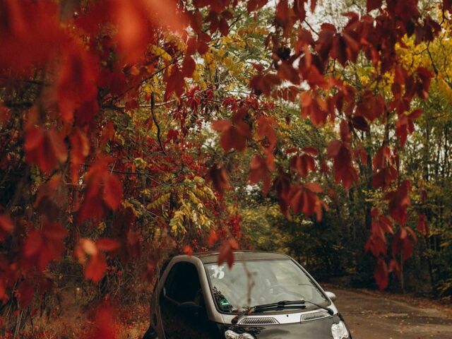 Сірий Смарт Fortwo, об'ємом двигуна 0.6 л та пробігом 145 тис. км за 3500 $, фото 1 на Automoto.ua