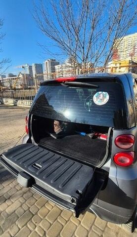 Сірий Смарт Fortwo, об'ємом двигуна 1 л та пробігом 100 тис. км за 5400 $, фото 7 на Automoto.ua