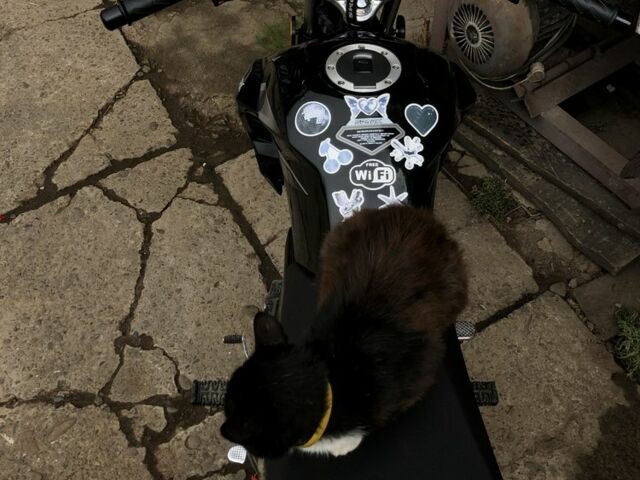 Спарк Другая, объемом двигателя 0.15 л и пробегом 0 тыс. км за 756 $, фото 6 на Automoto.ua