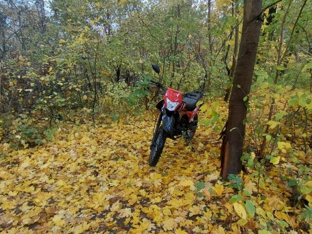 Спарк Другая, объемом двигателя 0.2 л и пробегом 0 тыс. км за 710 $, фото 3 на Automoto.ua