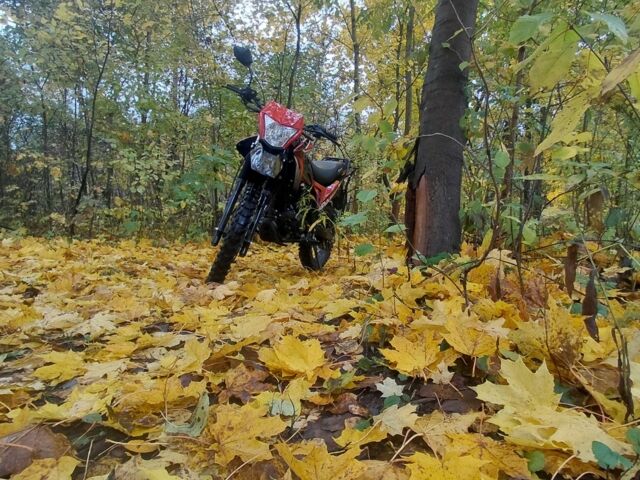 Спарк Другая, объемом двигателя 0.2 л и пробегом 0 тыс. км за 710 $, фото 4 на Automoto.ua