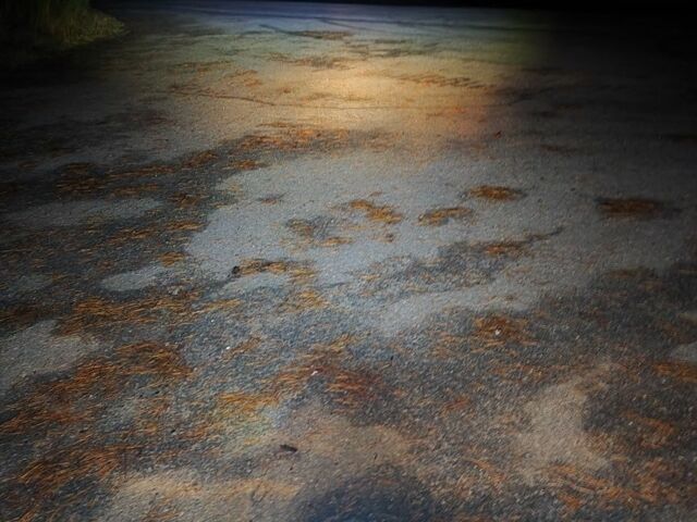 Спарк Інша, об'ємом двигуна 0.2 л та пробігом 0 тис. км за 972 $, фото 2 на Automoto.ua