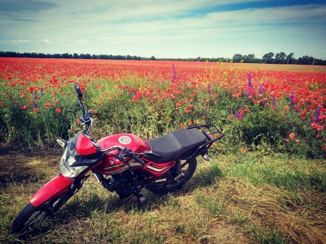 Спарк Другая 2019 в Подольск (Котовск) на Automoto.ua Спарк Другая, объемом двигателя 0 л и пробегом 0 тыс. км за 716 $, фото 4 на Automoto.ua