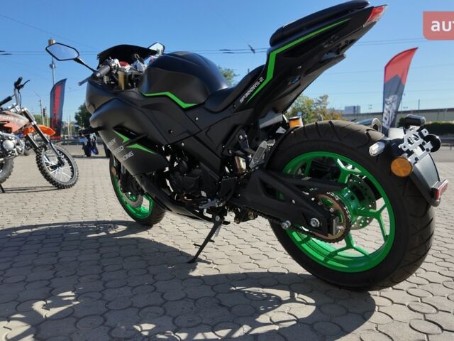 купити нове авто Спарк SP 300RS-2 2025 року від офіційного дилера Женя Спарк фото