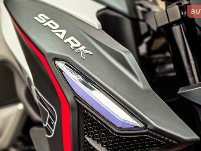 Спарк SP 300T-4, объемом двигателя 0.27 л и пробегом 0 тыс. км за 2013 $, фото 9 на Automoto.ua