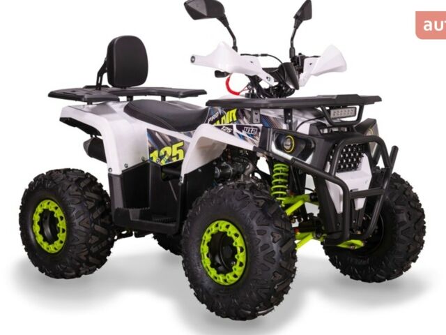 Спорт Енерджи AY 125, объемом двигателя 0.12 л и пробегом 0 тыс. км за 1270 $, фото 6 на Automoto.ua