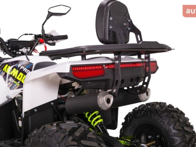 Спорт Енерджи AY 125, объемом двигателя 0.12 л и пробегом 0 тыс. км за 1100 $, фото 11 на Automoto.ua