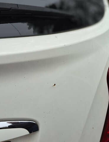 Белый Cанг Йонг Корандо, объемом двигателя 2 л и пробегом 104 тыс. км за 9900 $, фото 16 на Automoto.ua