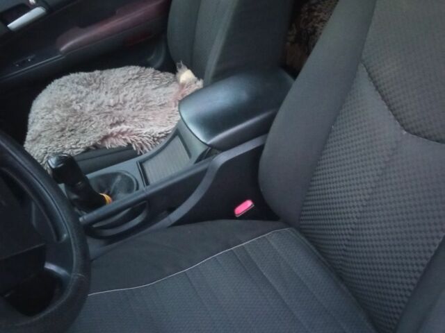 Cанг Йонг Кирон 2010 в Овруче на Automoto.ua Красный Cанг Йонг Кирон, объемом двигателя 2 л и пробегом 158 тыс. км за 7500 $, фото 19 на Automoto.ua