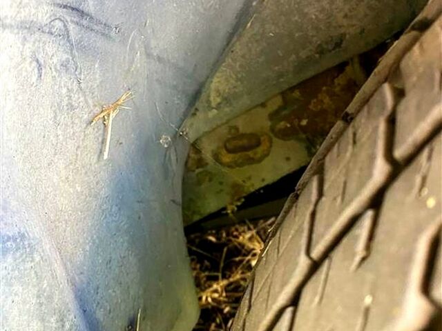 Синій Cанг Йонг Rexton, об'ємом двигуна 2.3 л та пробігом 180 тис. км за 4980 $, фото 8 на Automoto.ua