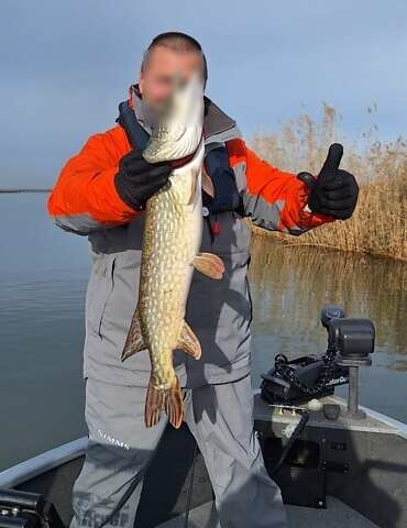 Червоний Старкрафт Starweld, об'ємом двигуна 0 л та пробігом 100 тис. км за 34876 $, фото 12 на Automoto.ua