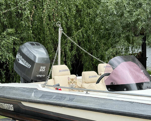 Stratos Pro XL, объемом двигателя 0 л и пробегом 0 тыс. км за 9000 $, фото 1 на Automoto.ua