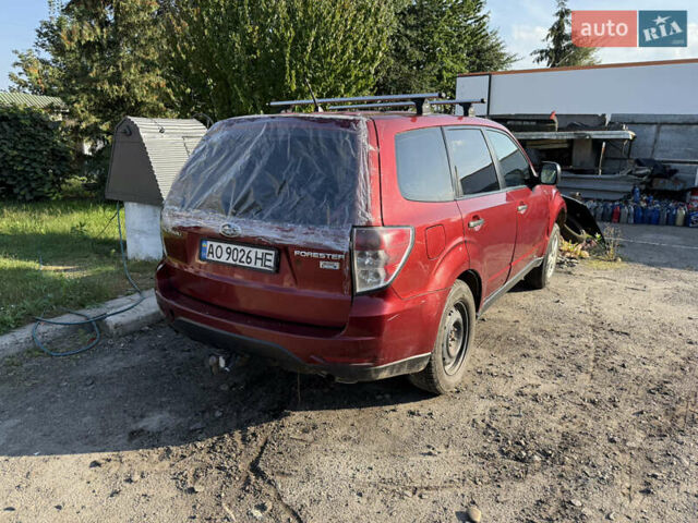 Красный Субару Форестер, объемом двигателя 2 л и пробегом 293 тыс. км за 2500 $, фото 5 на Automoto.ua