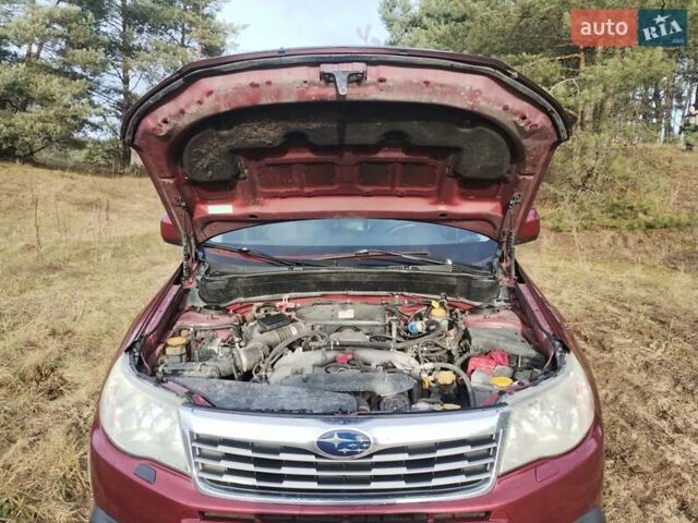 Червоний Субару Forester, об'ємом двигуна 2.46 л та пробігом 304 тис. км за 7900 $, фото 27 на Automoto.ua