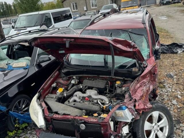 Субару Форестер 2008 в Житомире на Automoto.ua Красный Субару Форестер, объемом двигателя 2 л и пробегом 190 тыс. км за 3300 $, фото 1 на Automoto.ua