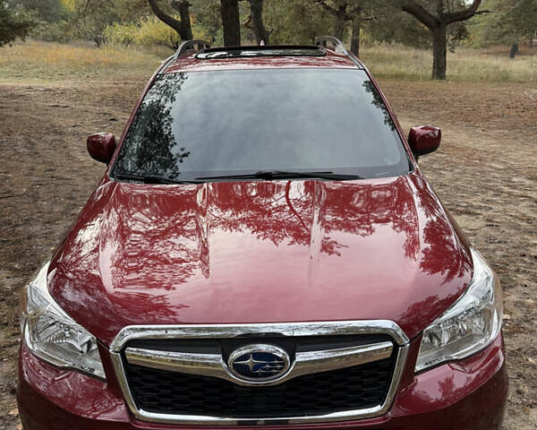 Красный Субару Форестер, объемом двигателя 2.46 л и пробегом 141 тыс. км за 14000 $, фото 1 на Automoto.ua