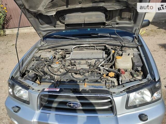 Субару Форестер 2004 в Одессе на Automoto.ua Серый Субару Форестер, объемом двигателя 2 л и пробегом 232 тыс. км за 8999 $, фото 19 на Automoto.ua