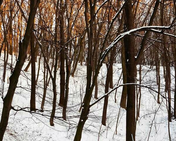 Черный Субару Импреза, объемом двигателя 1.5 л и пробегом 190 тыс. км за 6500 $, фото 4 на Automoto.ua