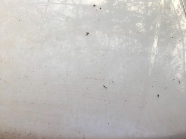 Белый Субару Легаси, объемом двигателя 1.6 л и пробегом 200 тыс. км за 991 $, фото 2 на Automoto.ua