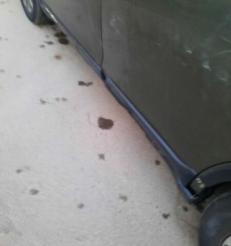 Зеленый Субару Аутбек, объемом двигателя 2.5 л и пробегом 228 тыс. км за 15500 $, фото 7 на Automoto.ua