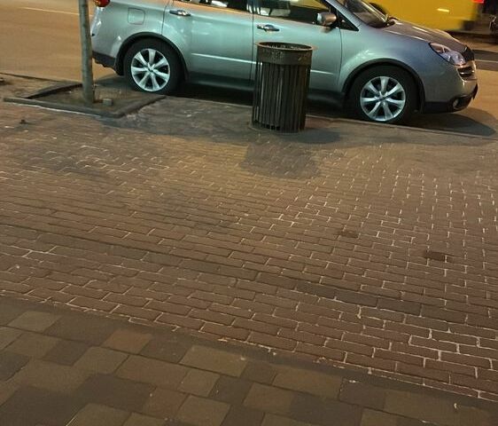 Серый Субару Трибека, объемом двигателя 3 л и пробегом 270 тыс. км за 4900 $, фото 11 на Automoto.ua