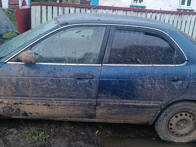 Сузукі Балеро 1998 у Летичеве на Automoto.ua Синій Сузукі Балеро, об'ємом двигуна 1.6 л та пробігом 280 тис. км за 480 $, фото 2 на Automoto.ua