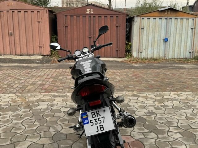 Сузукі Бандит, об'ємом двигуна 0.65 л та пробігом 0 тис. км за 3449 $, фото 4 на Automoto.ua