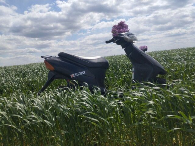 Сузуки Другая, объемом двигателя 50 л и пробегом 0 тыс. км за 167 $, фото 14 на Automoto.ua