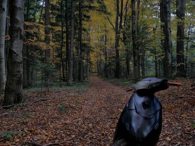 Сузукі Інша, об'ємом двигуна 50 л та пробігом 0 тис. км за 238 $, фото 1 на Automoto.ua