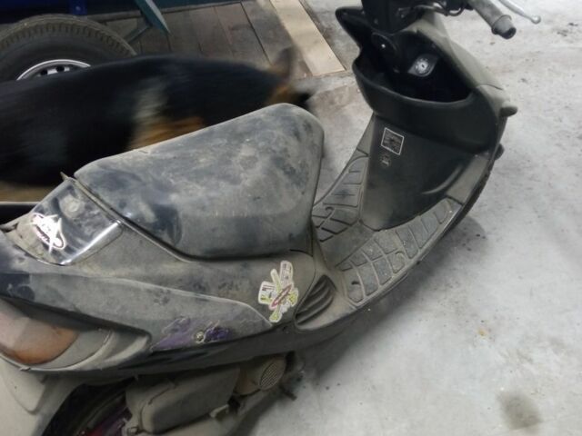 Сузуки Другая, объемом двигателя 49 л и пробегом 0 тыс. км за 119 $, фото 2 на Automoto.ua