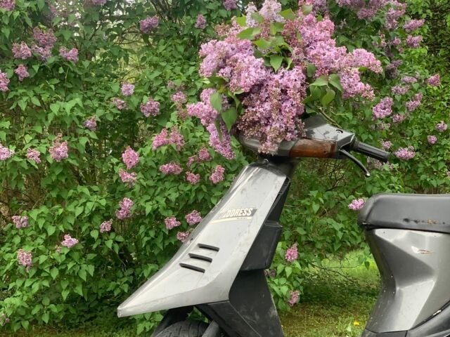 Сузуки Другая, объемом двигателя 50 л и пробегом 0 тыс. км за 115 $, фото 1 на Automoto.ua