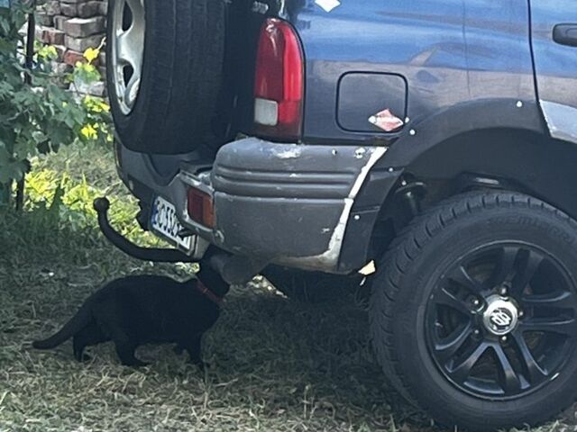 Синій Сузукі Гранд Вітара, об'ємом двигуна 2 л та пробігом 266 тис. км за 4500 $, фото 4 на Automoto.ua