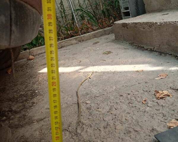 Красный Сузуки Игнис, объемом двигателя 1.33 л и пробегом 320 тыс. км за 1900 $, фото 1 на Automoto.ua