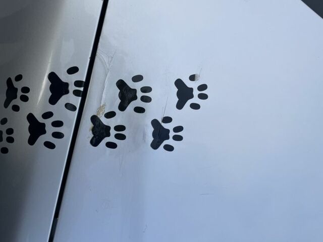 Серый Сузуки СХ4, объемом двигателя 1.6 л и пробегом 212 тыс. км за 7000 $, фото 15 на Automoto.ua