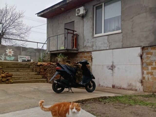 Сузукі Сепія, об'ємом двигуна 65 л та пробігом 0 тис. км за 166 $, фото 12 на Automoto.ua