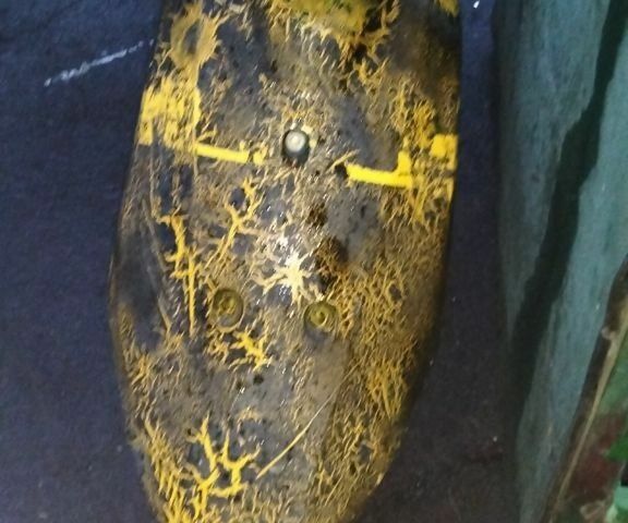 Сузукі Сепія, об'ємом двигуна 0 л та пробігом 0 тис. км за 143 $, фото 2 на Automoto.ua